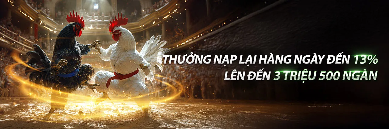 Hình ảnh tổng quan Blog Vinvip
