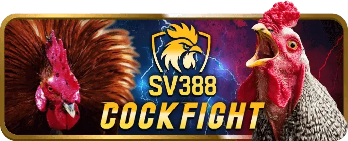 Cá cược Thể Thao Vinvip