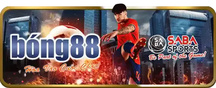 Uy tín và an toàn tại Vinvip